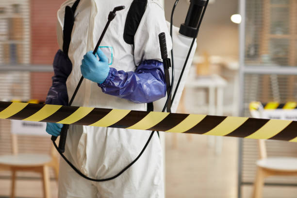 Professional Sewage Cleanup technician working in Salisbury, MO