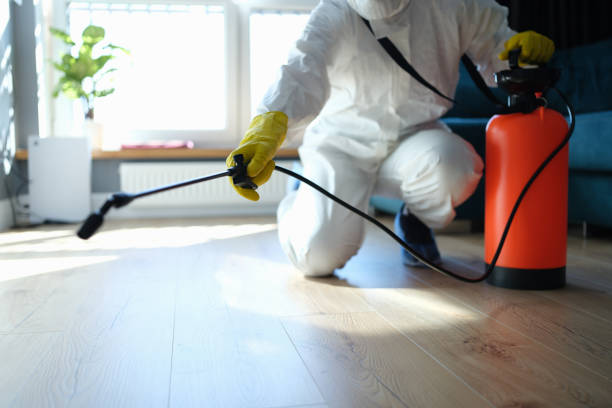 Reliable Sewage Cleanup contractor in Salisbury, MO by Trauma Clean Pros